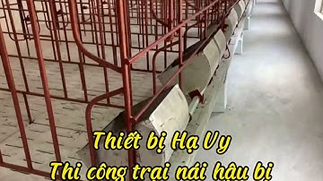 Hướng dẫn lắp đặt cũi hậu bị- 0393381166