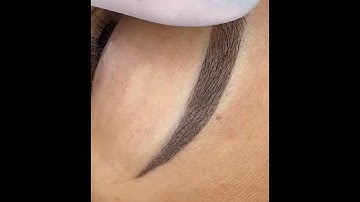 Microblading Eyebrows 3D |Dr.Ashwinis Natural Brows Academy |India
