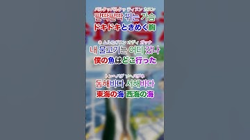 【BTSジン】슈퍼 참치/スーパーマグロ【カナルビ/日本語字幕】