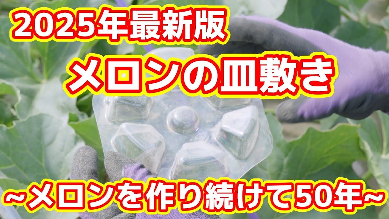 メロン _1024_230215125910.webp