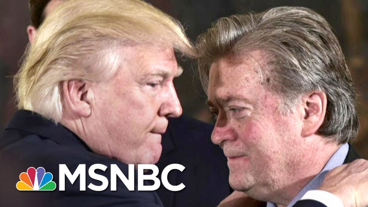 Steve Bannon Uniquely Odd Among Donald Trump's Many Weird Staff Choices | Rachel Maddow | MSNBC