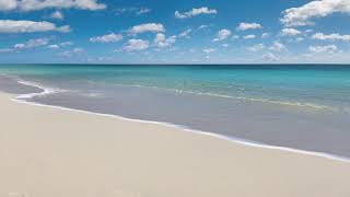 🌴 Tropical Ambience Relaxing Beach Waves [Atlantis Paradise Island]