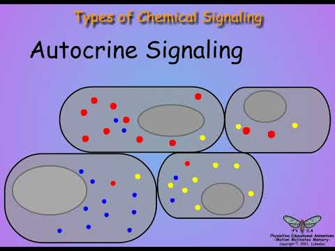 01-Introduction-Endocrinology