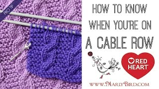Beginner Basics Knitting: How to Know When You're on a Cable Row or Counting Cable Rows