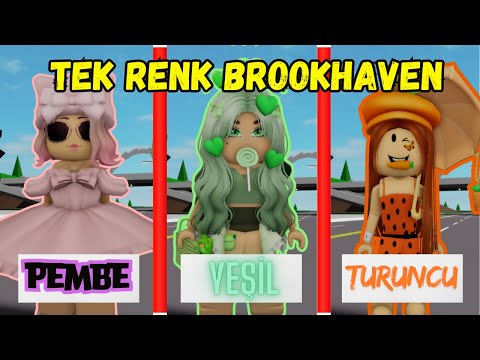 ARIGİLLER BROOKHAVEN TEK RENK CHALLENGE😊AYŞEM ECE ARI💥ARIGİLLER🐝ROBLOX BROOKHAVEN🏡RP