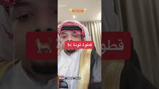 بث مباشر على تطبيق بيجو لايف bigo live