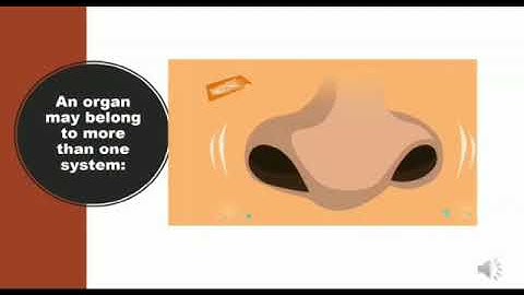 Metropolitan School Week 3 Class 5 Science Lesson