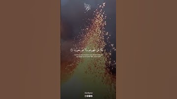 القرآن الكريم 🦋راحة نفسية بصوت الشيخ ياسر الدوسري القرآن الكريم 🌸🌿
