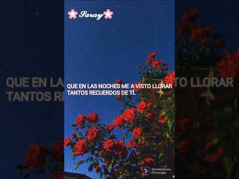 Hay amores -