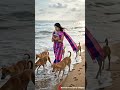 Dular Do Sari Ase Bang New Santali #shorts #video #santali 💕💓💕...???