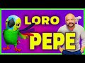 El lorito Pepe - La Granja de Zenón