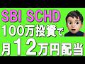 【50代60代】SBI SCHDに100万円投資で月12万円配当!?100~1000万円の一括投資シミュレーション!