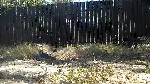 Smashing A Printing Calculator