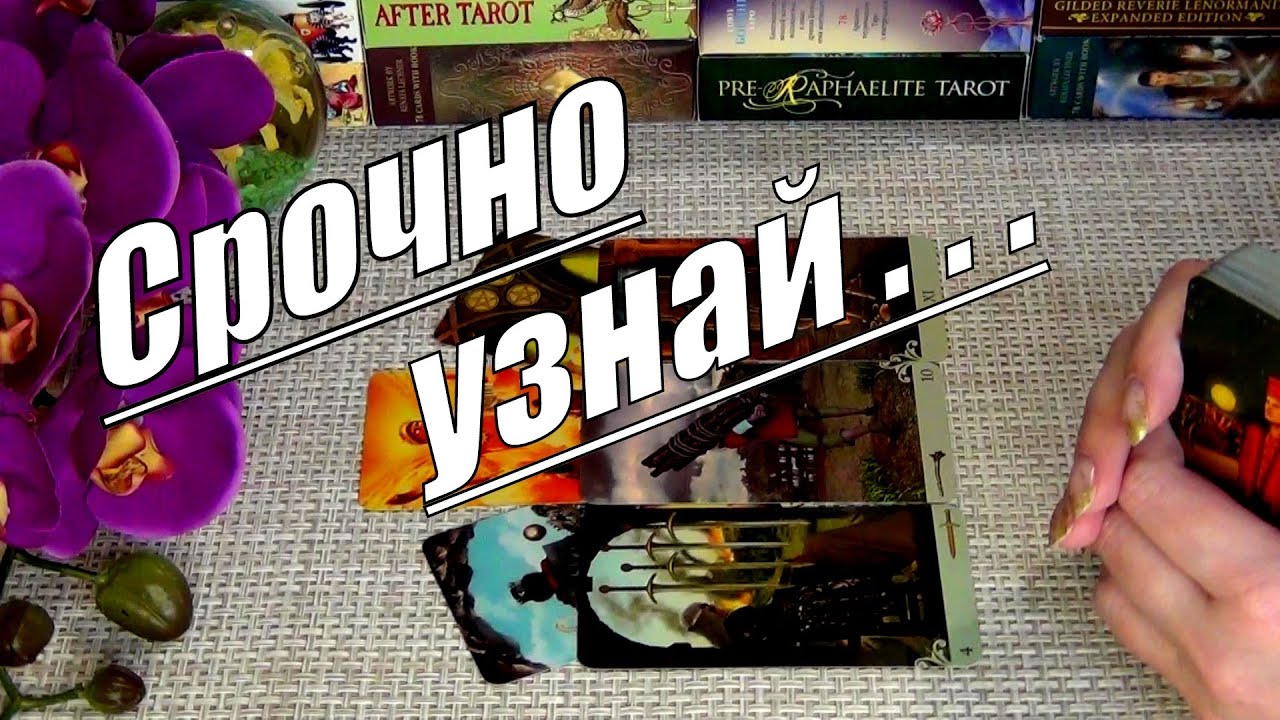 #27 С чем и кем вам предстоит столкнуться в ближайшие 6 - 10 дней? 26.11