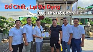 PHAN TRUNG'S GARDEN - Hai Hau - MANY VALUABLE TREES That Are On-Trend Right Now... THE ORGANIZERS...