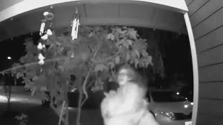 Front door camera shows alleged kidnapping of Oregon woman