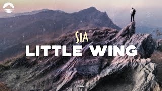 Sia - Little Wing | Lyrics