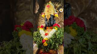 26-03-2026 Today Darshan Pandarpur #abhang #marathi
