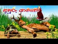 Lapati sina  apuru yaluwo        3d animated short film