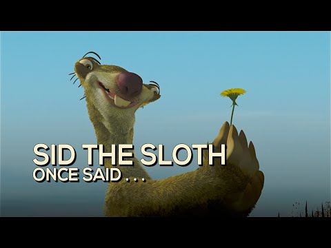 Video: Sid Sloth Doppelganger šuo yra internetinis pojūtis!