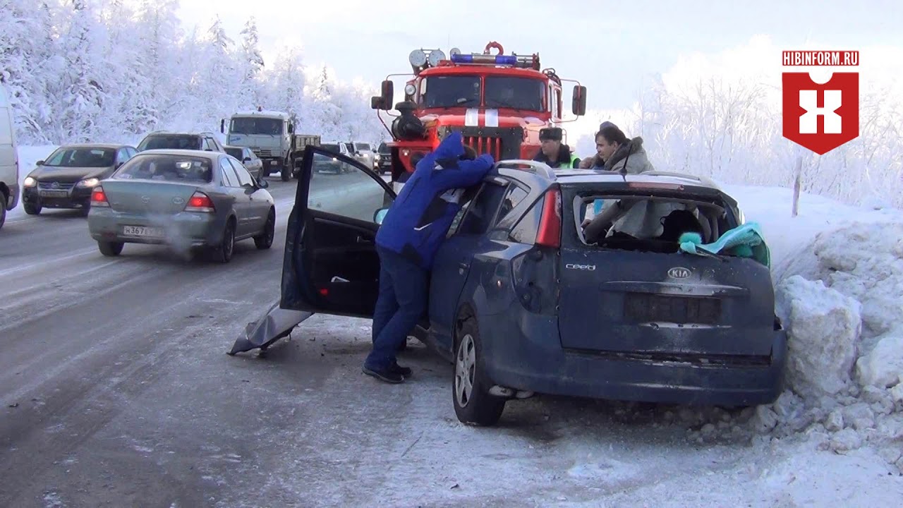 Дтп с газелью