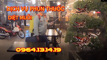DỊCH VỤ PHUN THUỐC DIỆT MUỖI | PHUN THUỐC DIỆT MUỖI TAỊ NHÀ | DIỆT CÔN TRÙNG SỐ 1