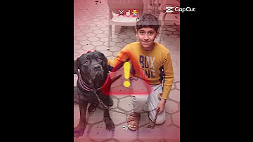 لو على المشاكل يلا بينا نفسي اشوف راجل 
