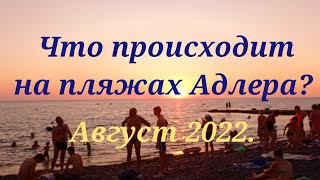 Что происходит на пляжах Адлера. Пляж Чайка. Август 2022 г.