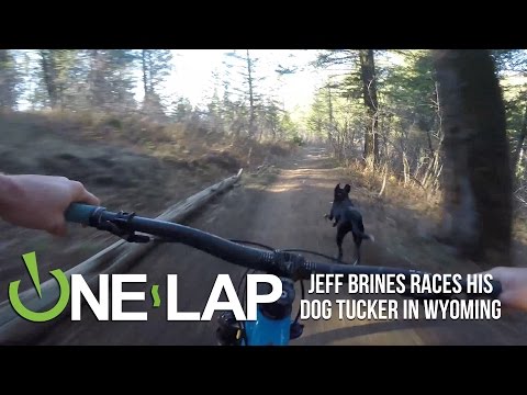 Wie is sneller? Tucker de hond of Jeff Brines de mountainbiker?