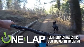 Who's Faster? Tucker the Dog or Jeff Brines the Mountain Biker?