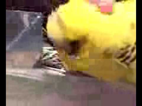 井上拓哉