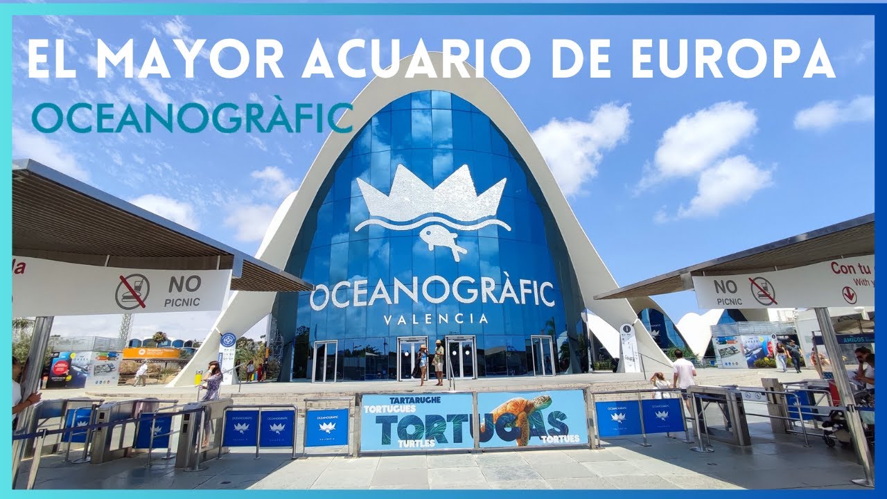 🐬OCEANOGRAFIC VALENCIA 🐬 | El MAYOR acuario de EUROPA | Zoo Tour 2023 ...