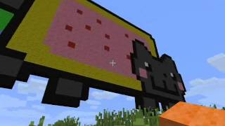 Nyan Can On Minecraft