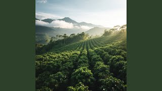 Hangat Angin Memancarkan