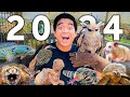 ANIMAL ROOMTOUR 2024! GREBEK SEMUA PELIHARAAN IQBALIZDA MAKIN MENGERIKAN?! image
