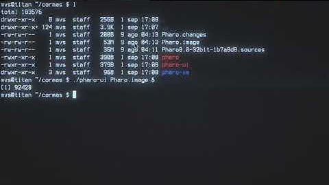 CORMAS Pharo 8 Installation