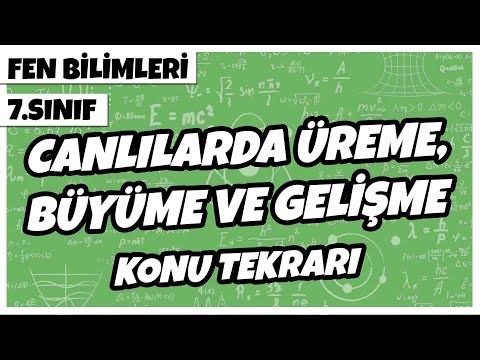 7. Sınıf Fen Bilimleri - Canlılarda Üreme, Büyüme ve Gelişme Konu Tekrarı | 2022