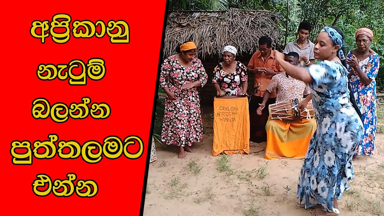 African Sri Lankans අප්‍රිකානු නැටුම් බලන්න පුත්තලමට එන්න #mojonewslk