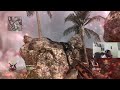 The MP5K Just sounds NOSTALGIC