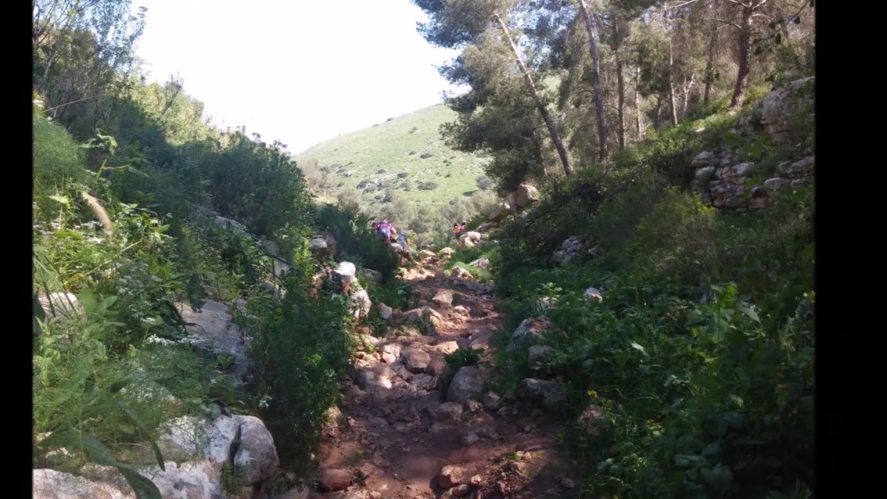 טיול יום כיף בנחל יצפור בגלבוע Traveling Israel & Tourism Itzpor Valley in the Gilboa