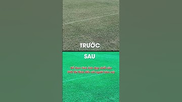 SVĐ Mỹ Đình bất ngờ nâng cấp, chuẩn sân Châu Âu #shorts