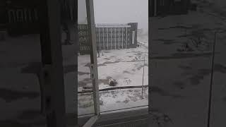 Niğde Dalları Yerde
