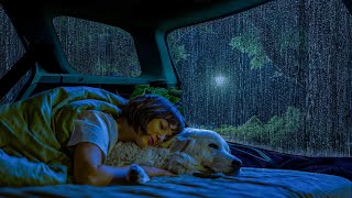 Cozy car cabin - Deep Sleep Relaxing with the Dog with Heavy rain & Thunder on the car window |ASMR by Rain At Night For Sleep 963 views 1 day ago 10 hours, 1 minute