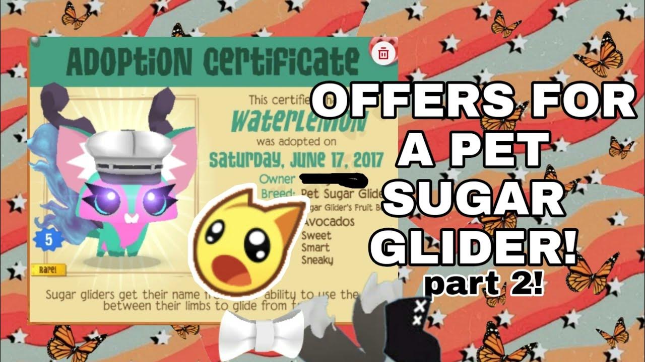 OFFERS FOR RARE SUGAR GLIDER *PART 2!* AJPW YouTube