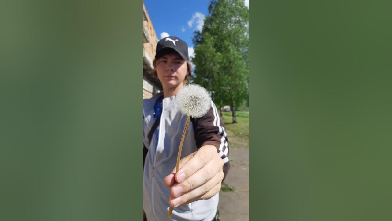 город пикалево ленинградская область. телефоны г пикалево. город пикалево питер.