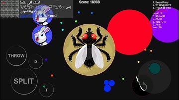 SOLO GAME | DESROYiNG TEAM | BLOB.IO