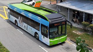 (和興白花油 Full Body Advertisement) SG1718U(BUDEP) On Service 992 At Bukit Batok Central. (和興白花油 Full Body Advertisement) SG1718U(BUDEP) On Service 992 At Bukit Batok Central.