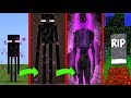 KÖTÜ ENDERMANIN HAYATİ - MİNECRAFT