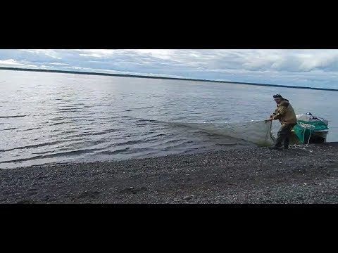 Невод Енисей осеньУсть Невод Енисей осеньУсть