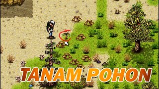 Cara Menanam Pohon | Green Project | Tutorial